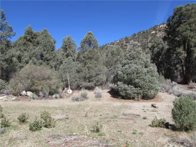 15305 Davos Court, Pine Mtn Club, California None
