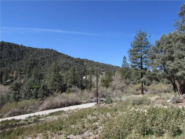 15309 Davos Court, Pine Mtn Club, California None