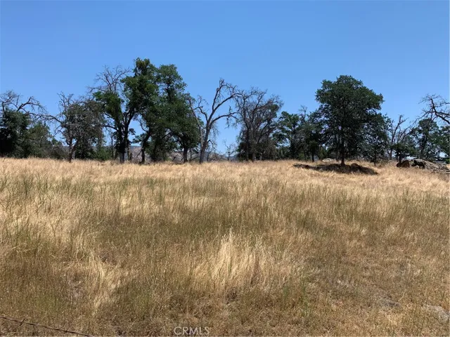 0 Hornitos Road, Catheys Valley, California None