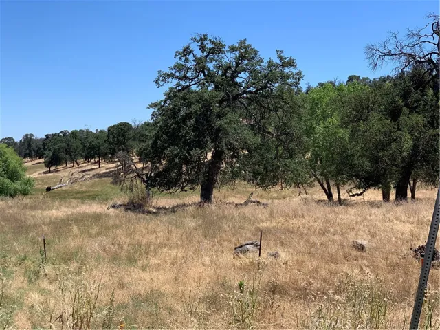 0 Hornitos Road, Catheys Valley, California None