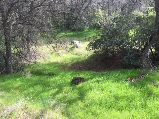 4346 Jenny Lane, Mariposa, California 95338