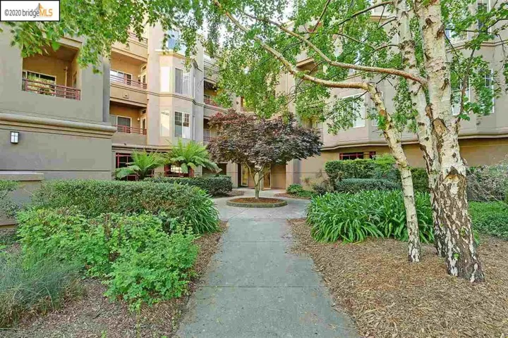 320 Caldecott Ln 101, Oakland, California 94618