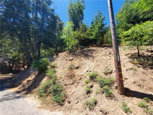 202 Jewel Dr, Crestline, California 92325