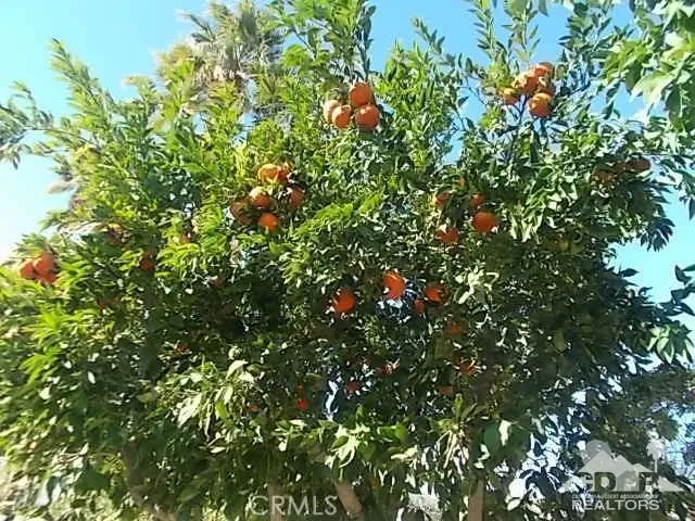 41115 Carlotta Drive, Palm Desert, California 92211