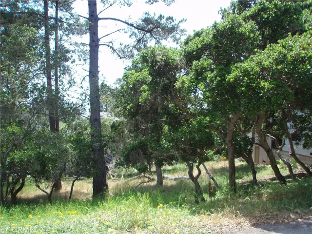 0 Benson Avenue, Cambria, California 93428