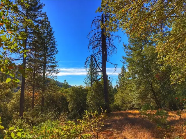 0 Oro Quincy Highway, Berry Creek, California 95916