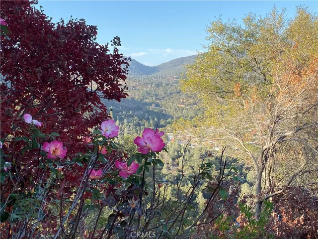 5140 Bumguardner Mountain, Mariposa, California 95338