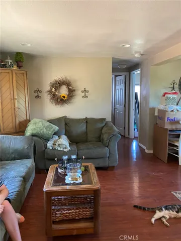 Manufacture home living room
