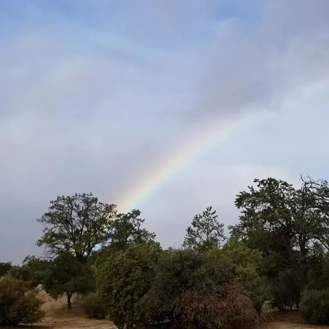 20181122_084957
