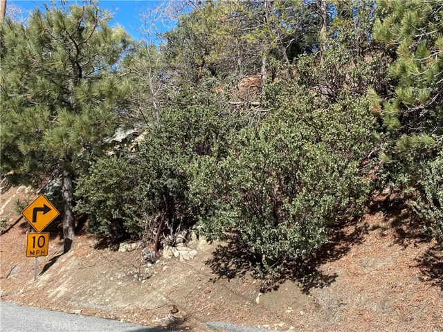 0 Evergreen Lane, Lake Arrowhead, California 92352