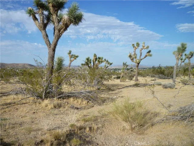 0 Juniper Road, Joshua Tree, California 92252
