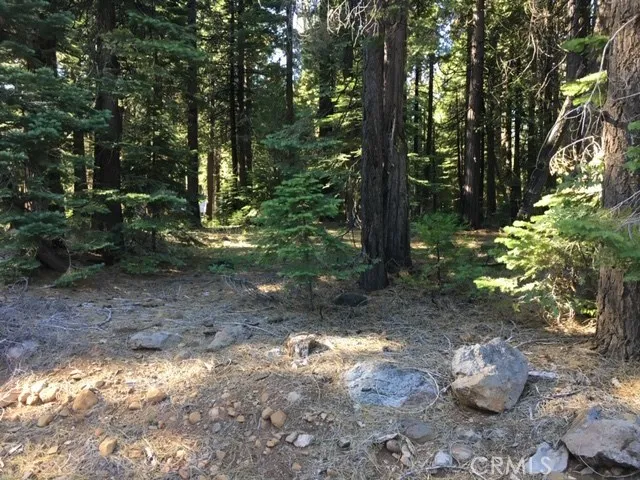 27 Biggers Glen Sub, Butte Meadows, California 95942