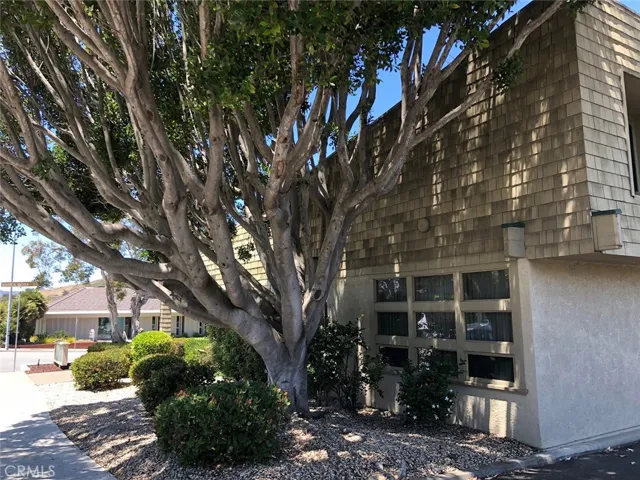 694 Santa Rosa Street, San Luis Obispo, California 93401