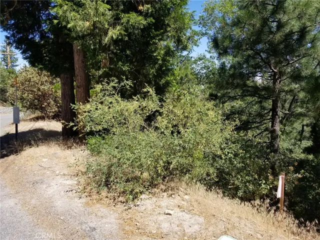 1276 Yukon Drive, Lake Arrowhead, California 92352