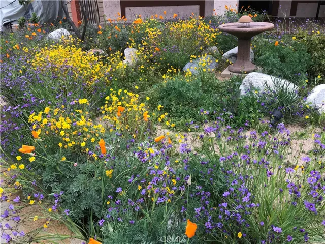 33792 Oldbridge Road, Dana Point, California 92629