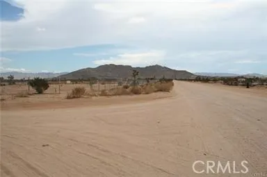 60522 Duvall Drive, Joshua Tree, California 92252