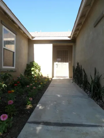 SAM_3237