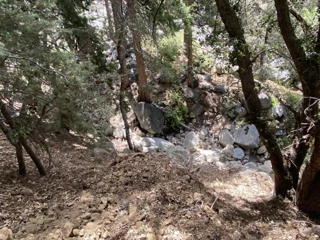 rear yard