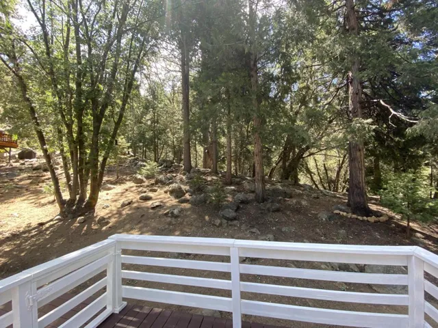 rear yard