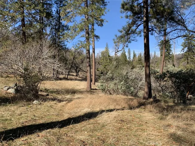 0 64.04 Ac Road 223, North Fork, California 93643
