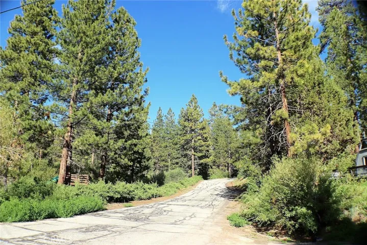 1309 Shasta Court, Big Bear, California 92315