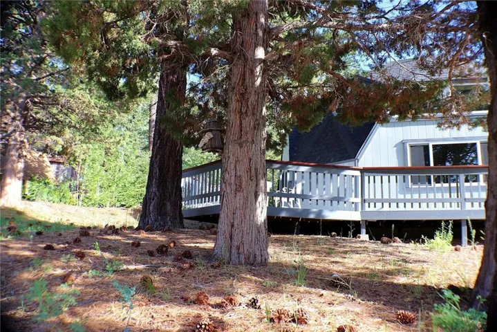 1309 Shasta Court, Big Bear, California 92315