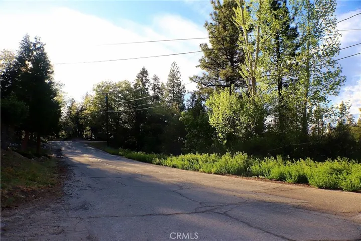 1309 Shasta Court, Big Bear, California 92315