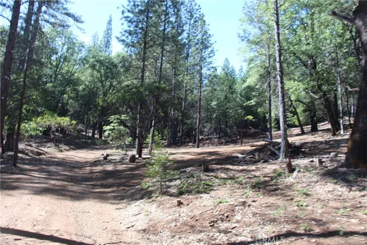 9734 Diener Drive, Kelseyville, California 95451