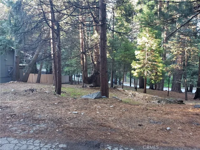 0 State Hwy 189, Twin Peaks, California 92391