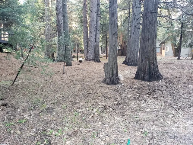 0 State Hwy 189, Twin Peaks, California 92391