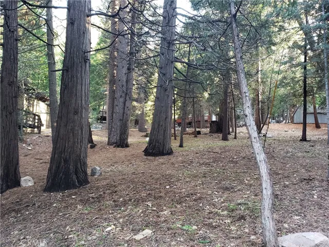 0 State Hwy 189, Twin Peaks, California 92391