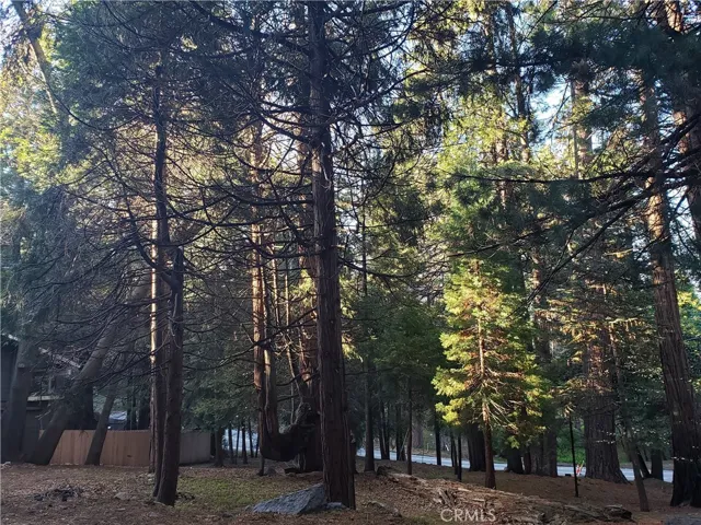 0 State Hwy 189, Twin Peaks, California 92391