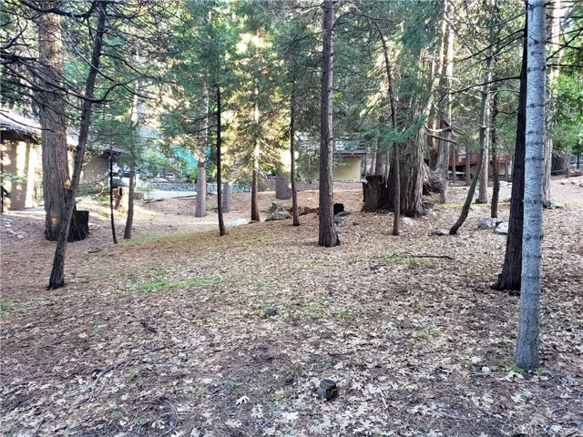 0 State Hwy 189, Twin Peaks, California 92391