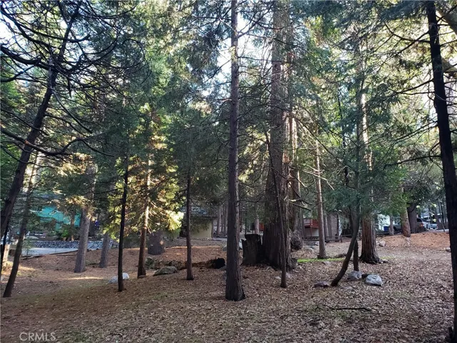0 State Hwy 189, Twin Peaks, California 92391