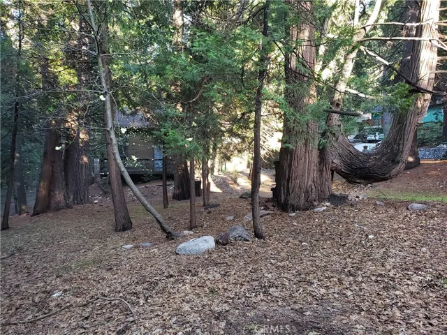 0 State Hwy 189, Twin Peaks, California 92391