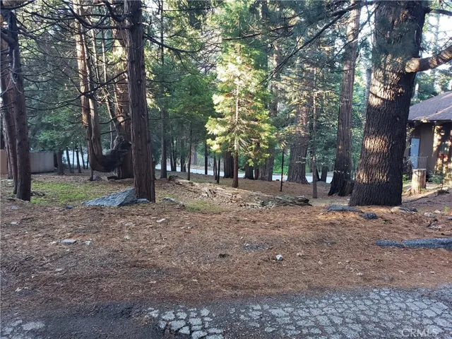 0 State Hwy 189, Twin Peaks, California 92391
