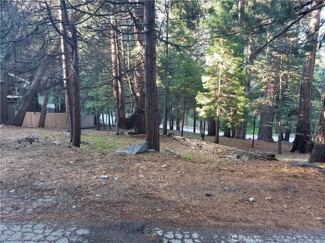 0 State Hwy 189, Twin Peaks, California 92391