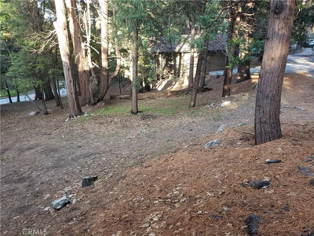 0 State Hwy 189, Twin Peaks, California 92391