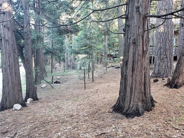 0 State Hwy 189, Twin Peaks, California 92391