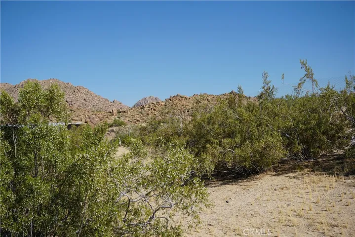 6935 Alturas Drive, Joshua Tree, California 92252