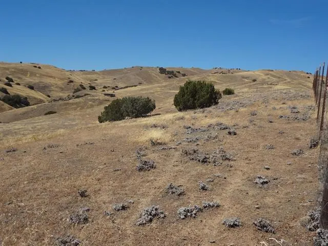 0 Willow Springs, Paicines, California 95043