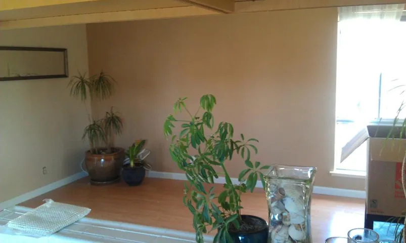 475 Plum Street B, Capitola, California 95010