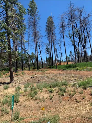 6123 Greenwood Drive, Paradise, California 95969