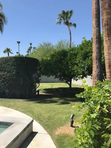 rear side lawn