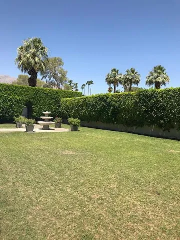 front lawn