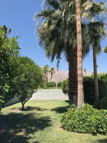 backyard lawn