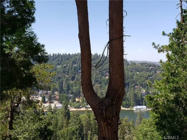 24240 Bernard Drive, Crestline, California 92325