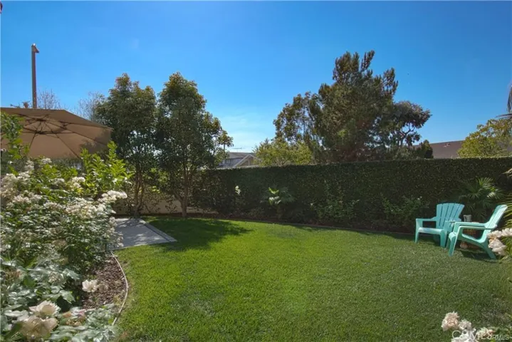 Back yard