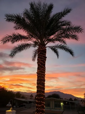 Front view from patio