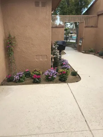 pic 5